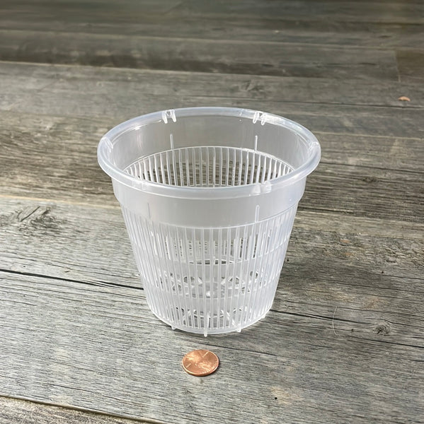 4.5" clear mesh orchid pot