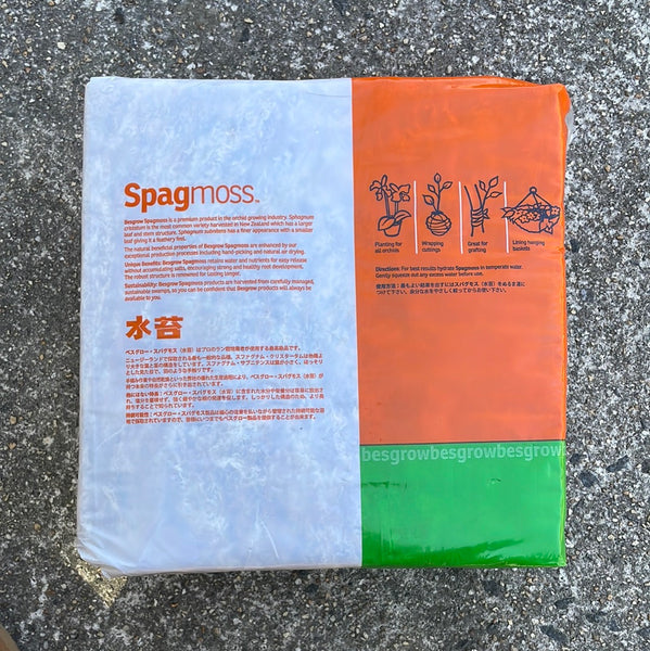 New Zealand Sphagnum Moss - Classic AA+ 500 grams