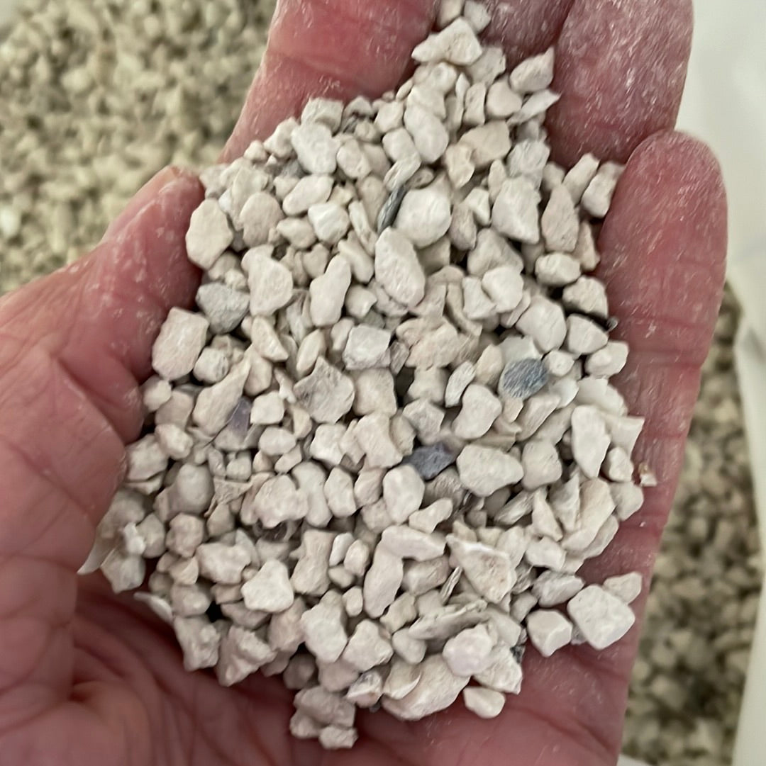 oyster shell for succulents Oyster shell calcium top dressing for orchids – QuarterAcreOrchids