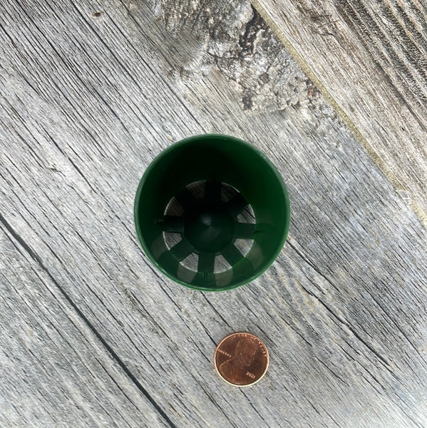 1.5" round green seedling pot no