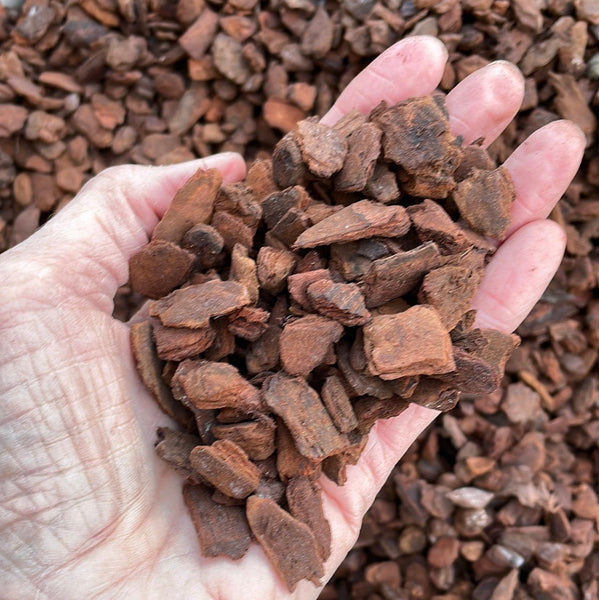 Orchiata #5 Power - Orchid Potting Mix - 35 liters  *please read description for shipping info