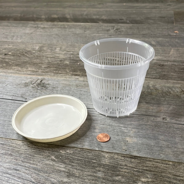 4.5" clear mesh orchid pot