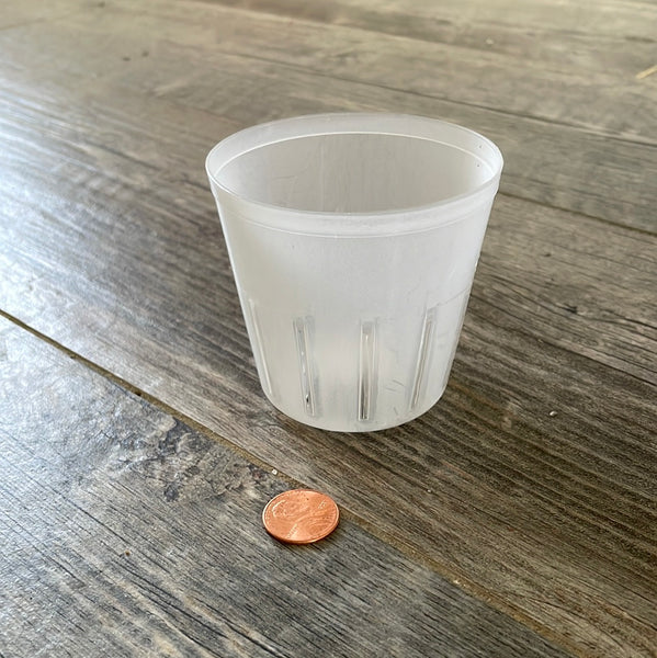 3" round rimless translucent pot