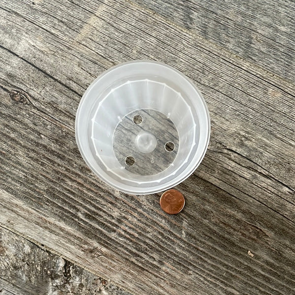 3" round sturdy clear pot