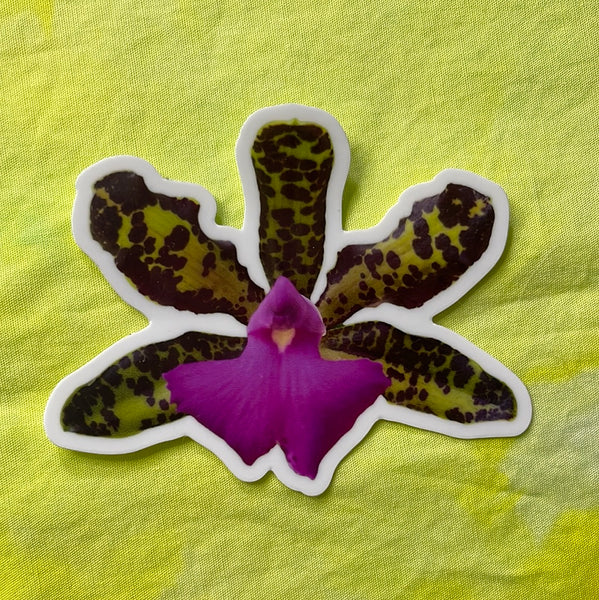 Cattleya orchid sticker - vinyl & weather resistant