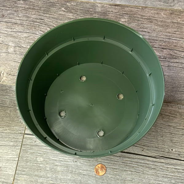 8" round green bulb pan