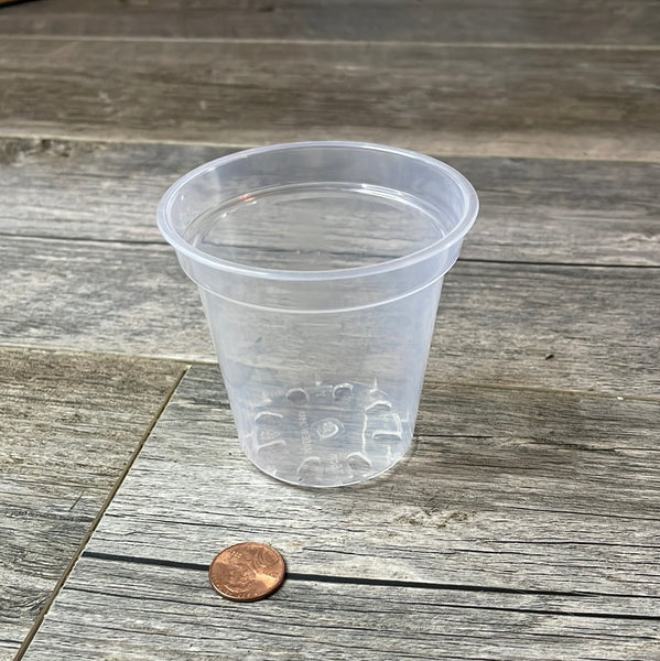 3" ultra clear round orchid seedling pot