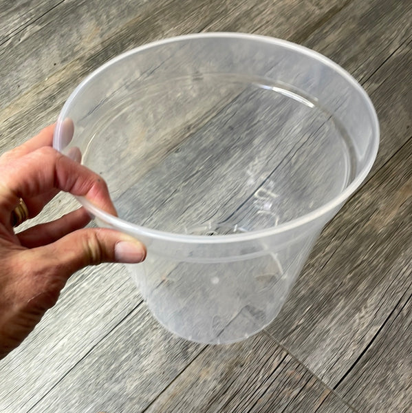 8" ultra clear round orchid pot