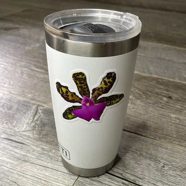 Cattleya orchid sticker - vinyl & weather resistant