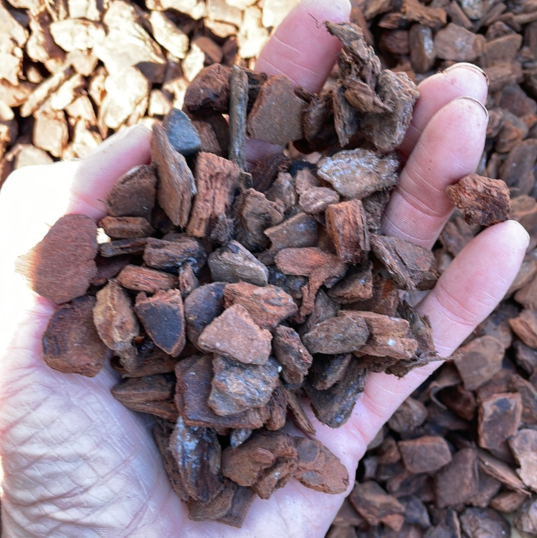 Orchiata #5A Power+ orchid potting mix – QuarterAcreOrchids