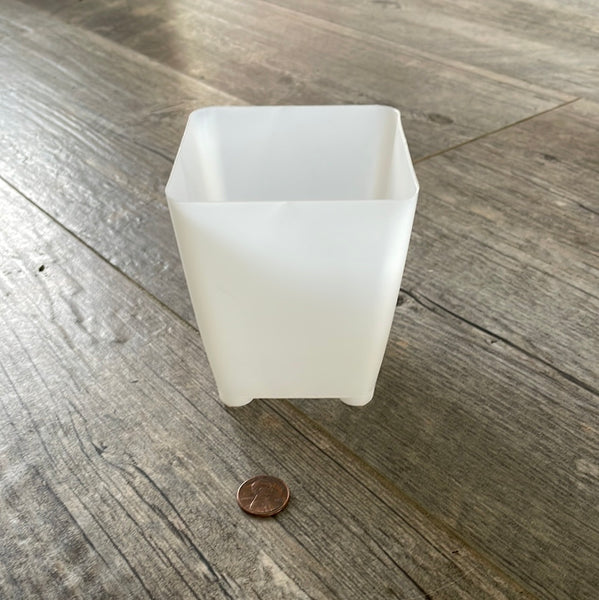 3.25” square clear orchid pot