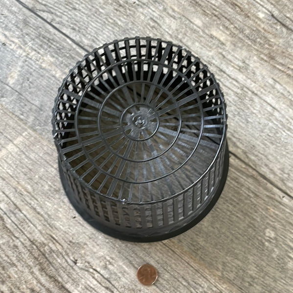 6" round black net cup