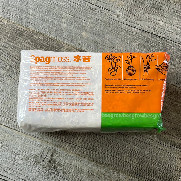 New Zealand Sphagnum Moss - Premier AAA+ 150grams