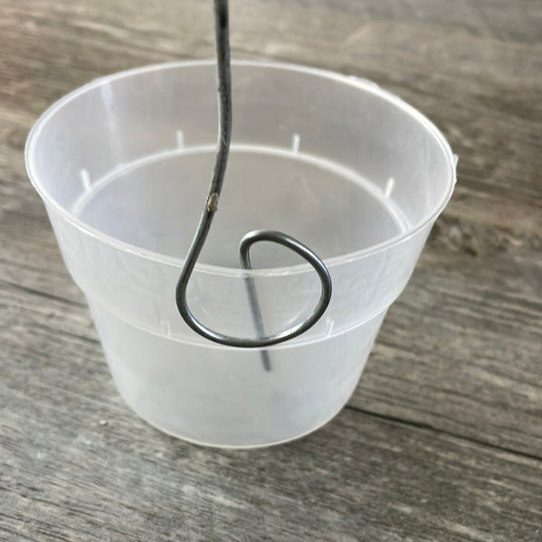 3" seedling ring stake