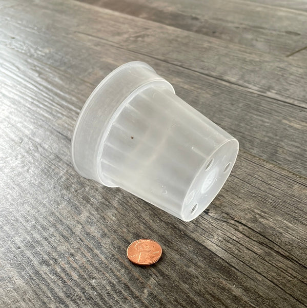 3" round sturdy clear pot