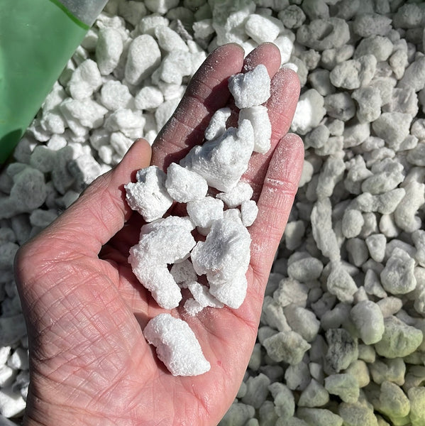 Sponge rock #8 (perlite) Extra Large