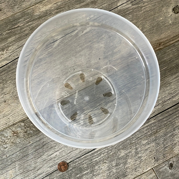 7" ultra clear round orchid pot