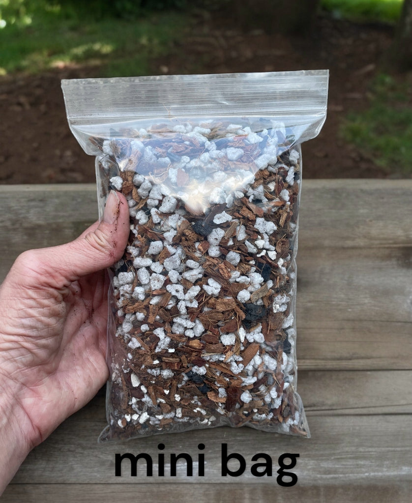 hoya potting mix recipe Soilless Hoya Potting Mix (Wax Plant, Porcelain Flower) – QuarterAcreOrchids