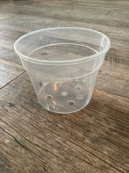 5" super clear round azalea pot *NEW*