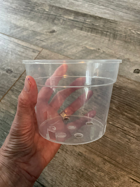 5" super clear round azalea pot *NEW*