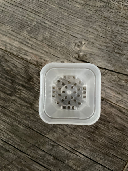 1.5” square clear seedling pot