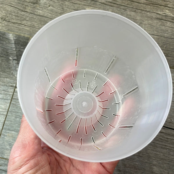 4" round clear rimless pot