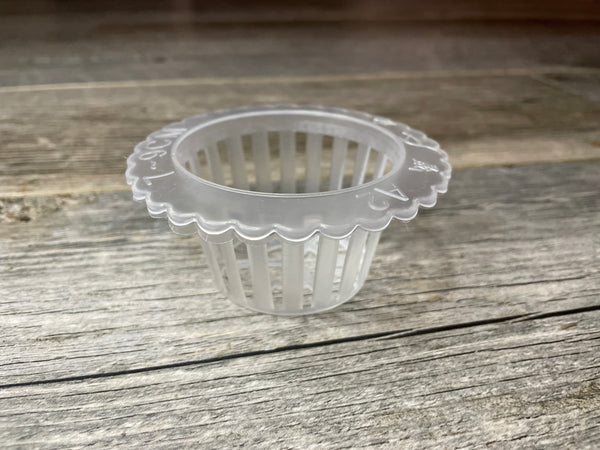 4” scalloped edge clear orchid basket