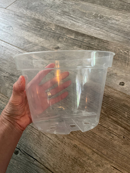 8" super clear round azalea pot *NEW*