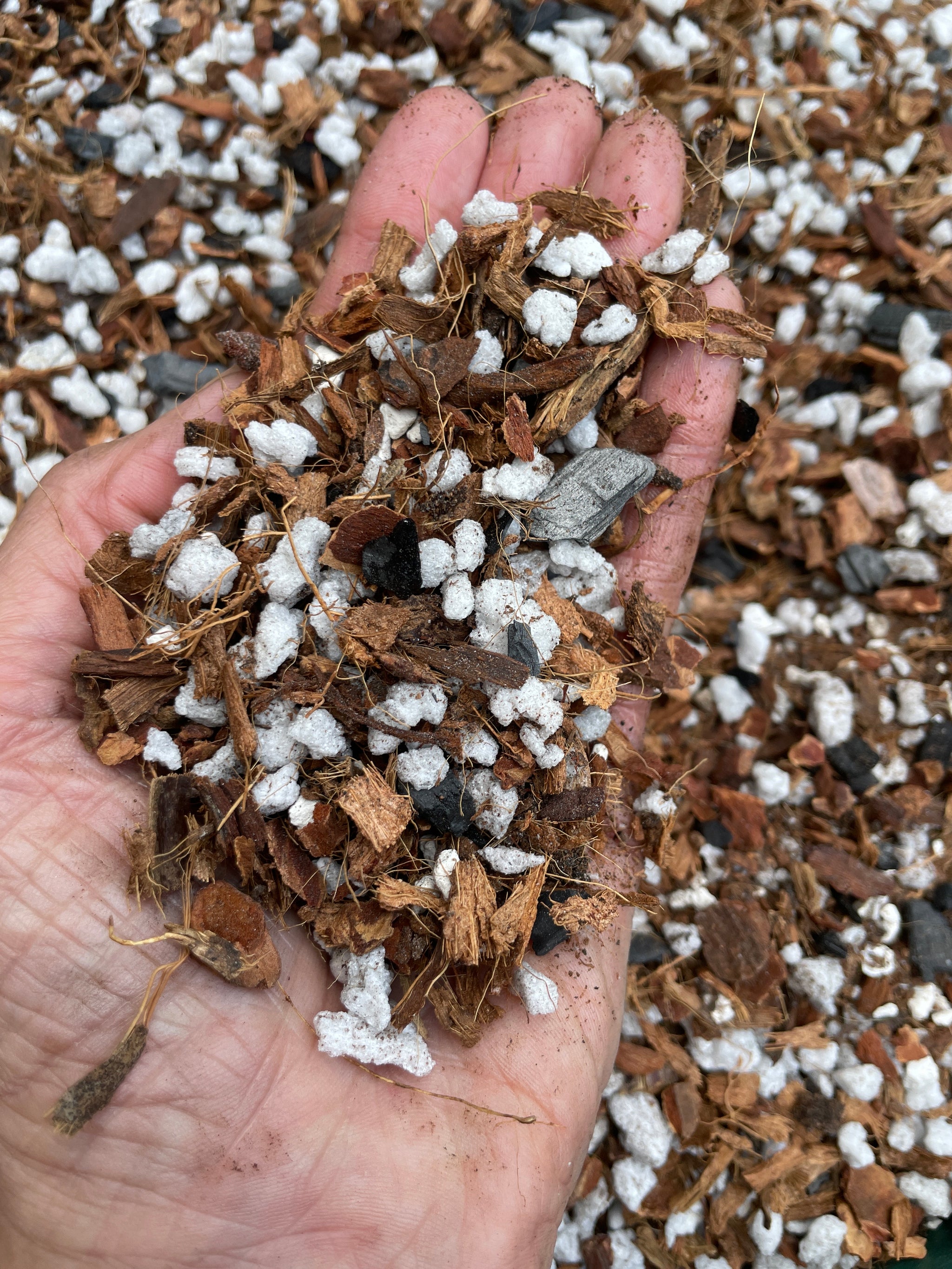 soilless potting mix for succulents Soilless Hoya Potting Mix (Wax Plant, Porcelain Flower) – QuarterAcreOrchids