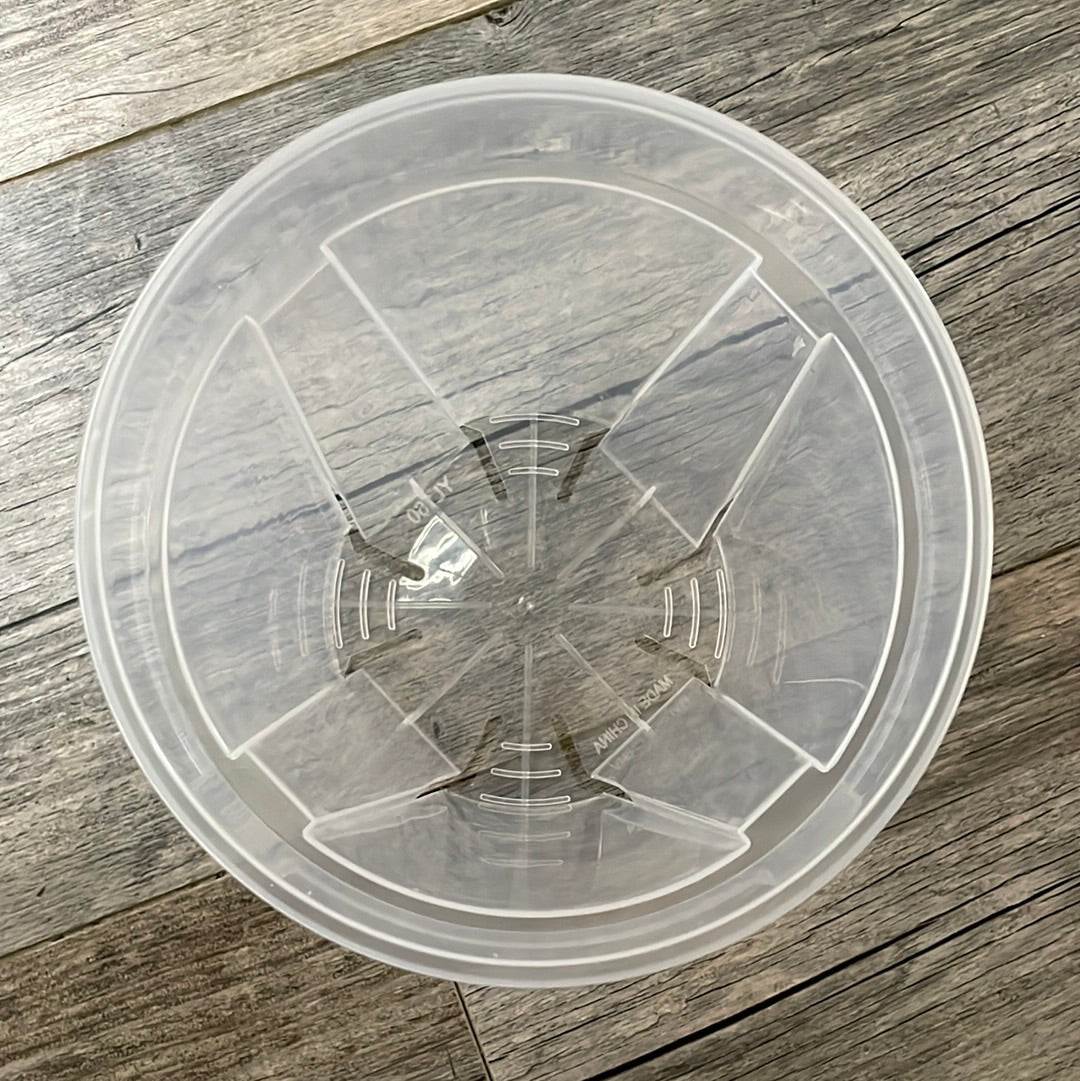 6.3” high transparency clear round orchid pot – QuarterAcreOrchids