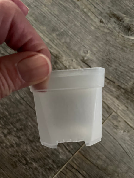 2” square clear seedling pot *NEW*