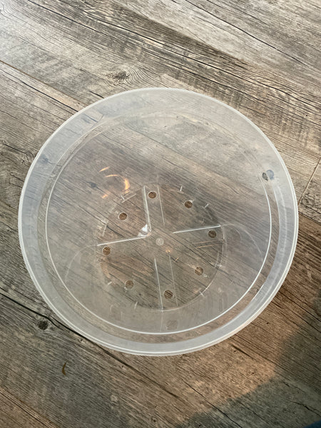 10" super clear round azalea pot *NEW*