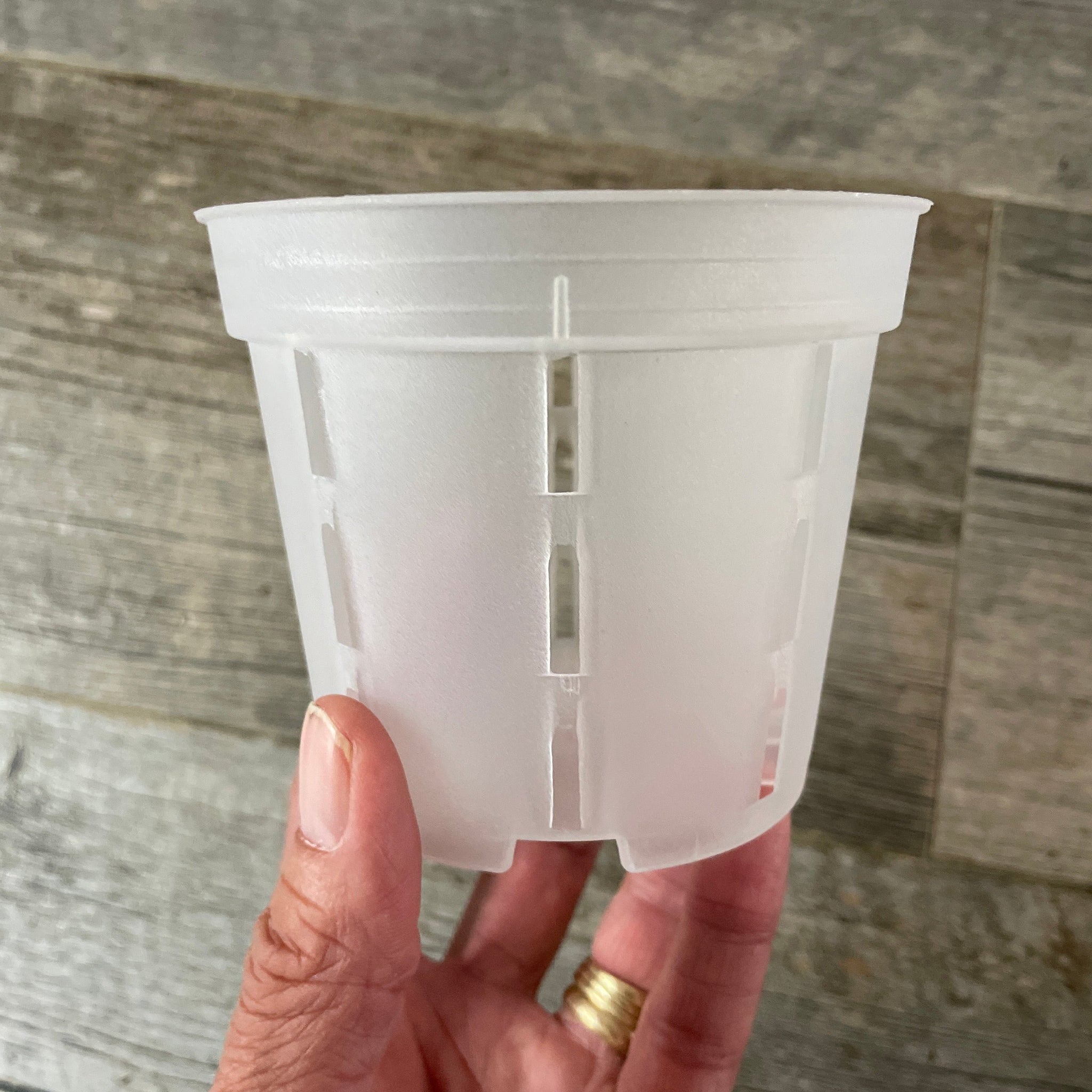 a hand with gold rings holding a 4" clear round orchid flower pot with slots on the side for aeration