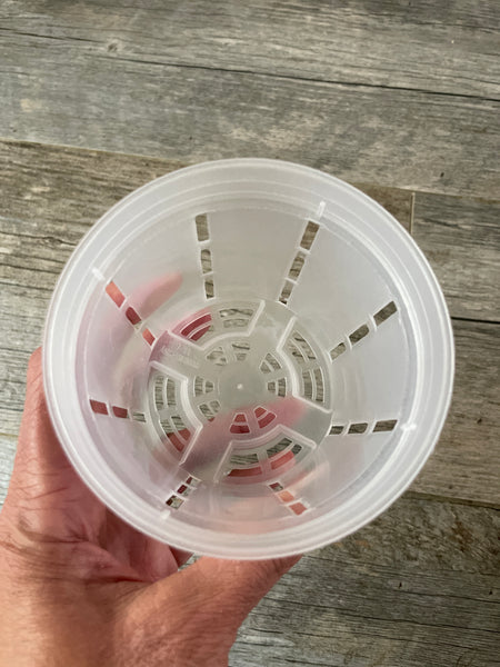 a hand holding a clear round 4" plastic orchid pot showing the inside of the pot with side slots and mesh bottom