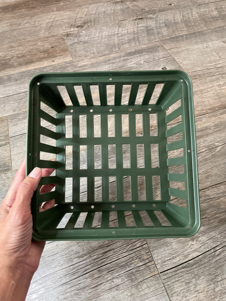 10” square green plastic vanda basket