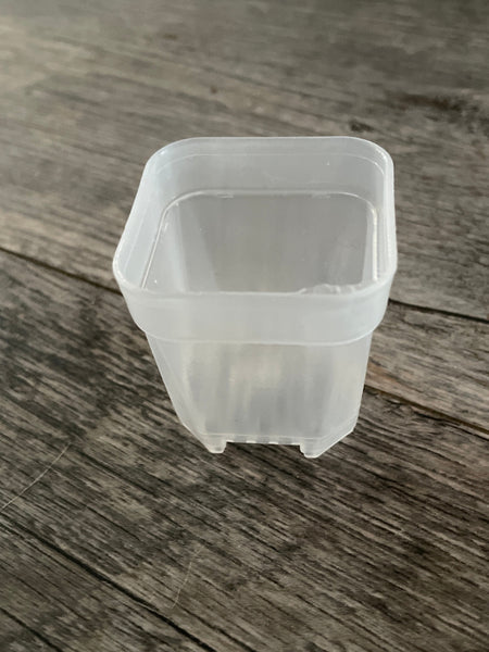1.5” square clear seedling pot