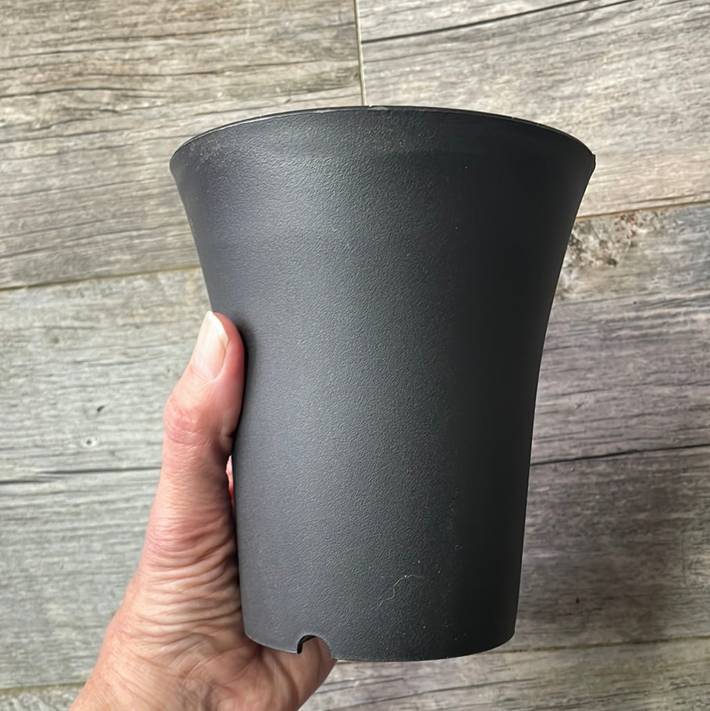round succulent pot 5.25” round black plastic flared succulent & bonsai pot – QuarterAcreOrchids