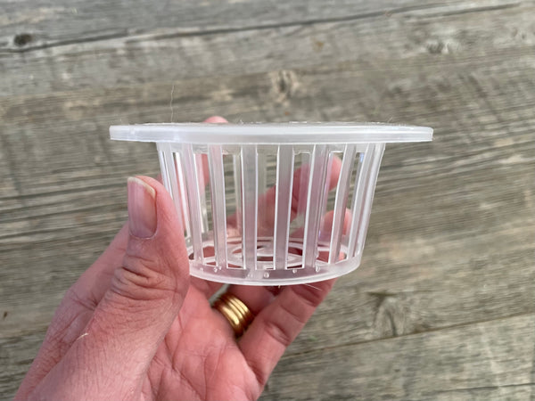 4.1" clear plastic orchid basket