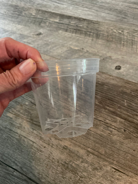 4" super clear round azalea pot *NEW*