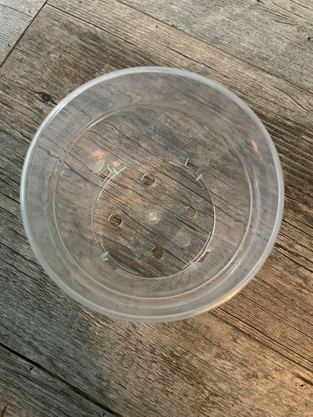 5" super clear round azalea pot *NEW*