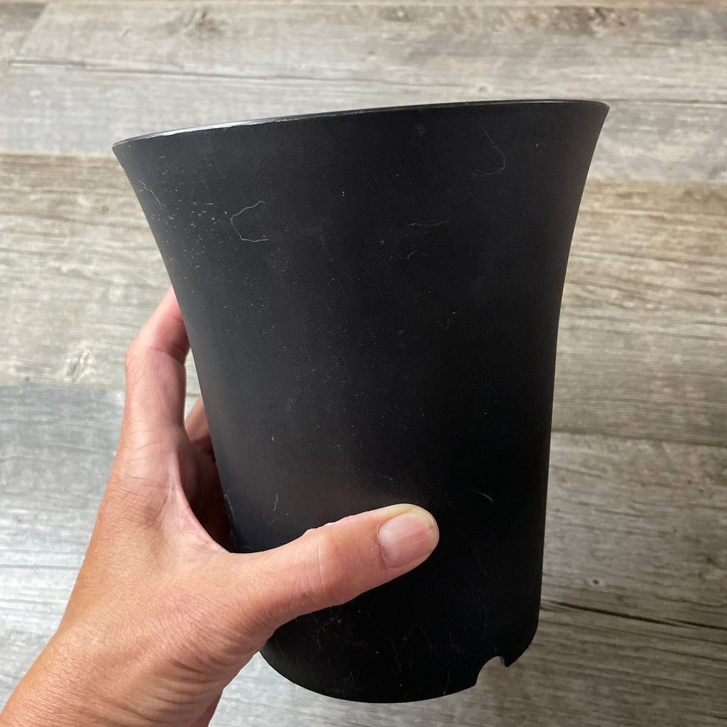 large round succulent planter 6.25” round black plastic flared succulent & bonsai pot *NEW* – QuarterAcreOrchids