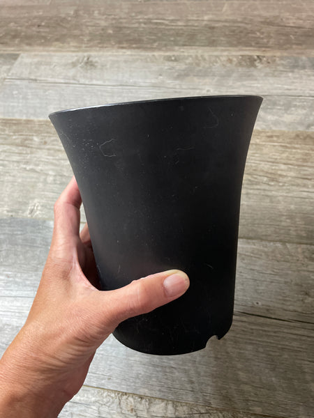 a hand holding a large round black succulent pot with a flared rim