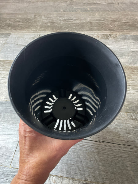 a hand holding a large round black succulent pot looking into the bottom showing the drainage holes