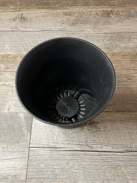 looking down into a large round black succulent pot at the drainage holes in the bottom