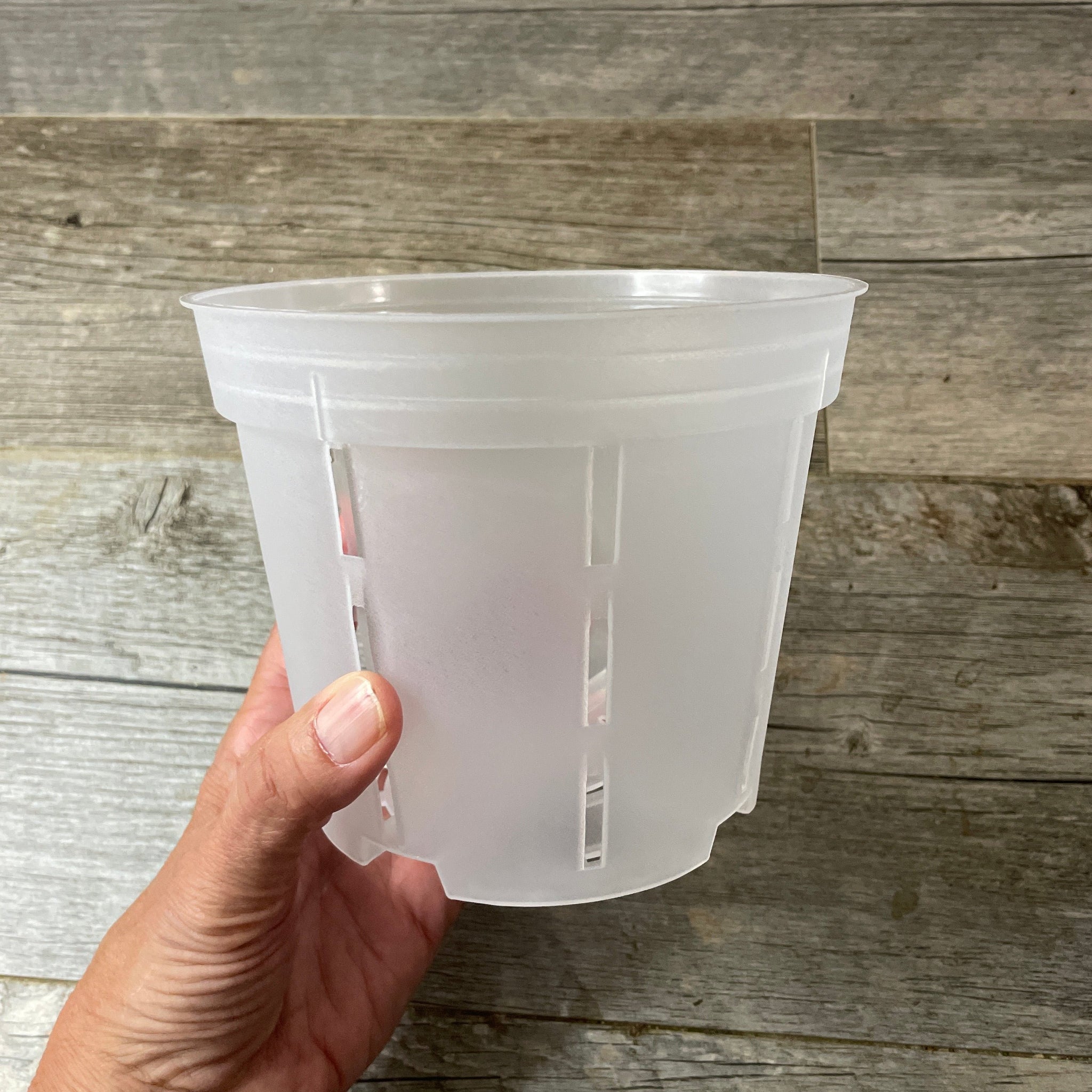 a hand holding a 6" round transparent orchid pot with generous side slots for aeration and drainage.
