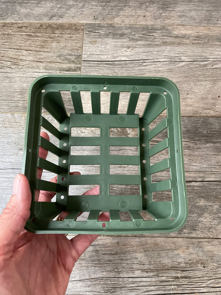 6" square green plastic vanda basket