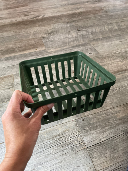 10” square green plastic vanda basket