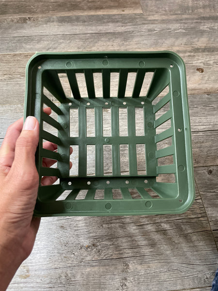 8” square green plastic vanda basket