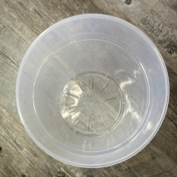 9.5" ultra clear round orchid pot *NEW*