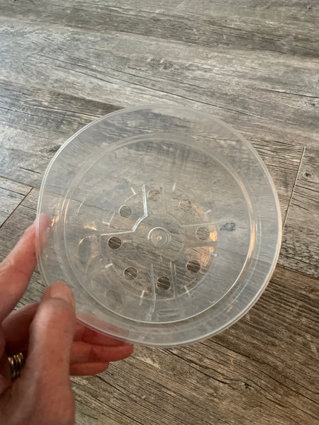 6" super clear round azalea pot *NEW*